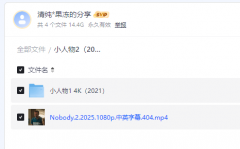 《小人物2》2025喜剧动作犯罪电影资源